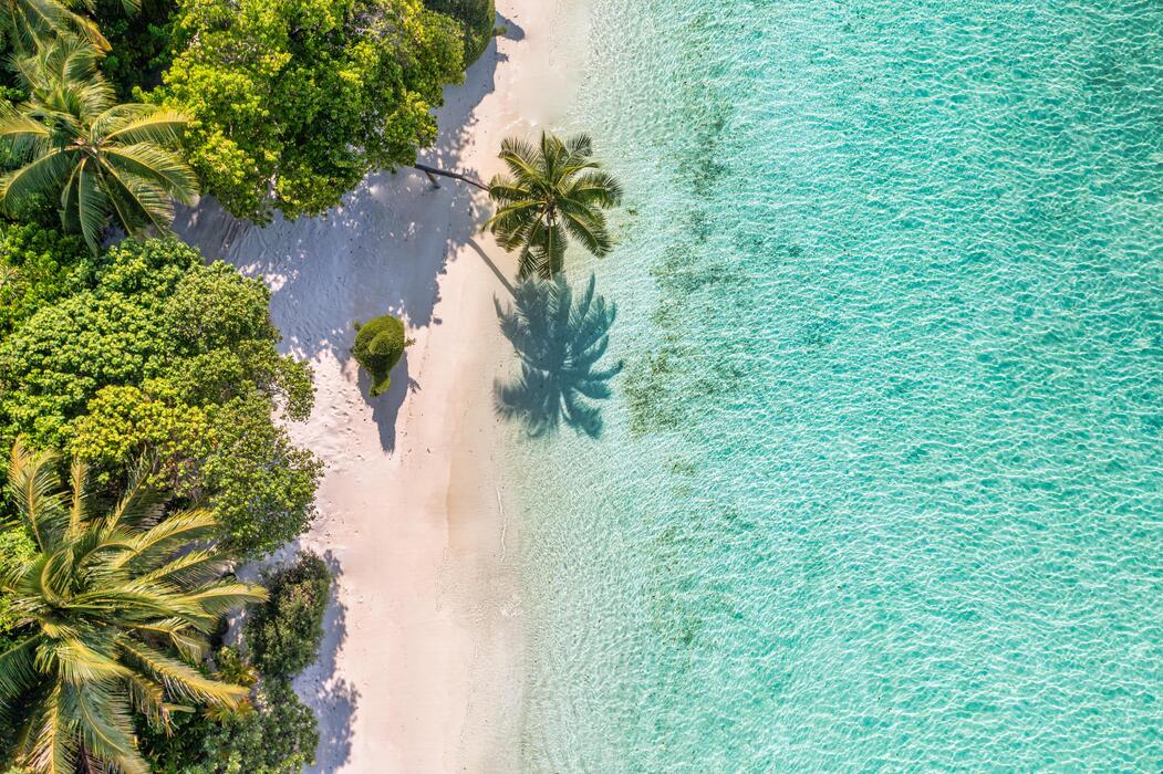 Orchid Island Beach
