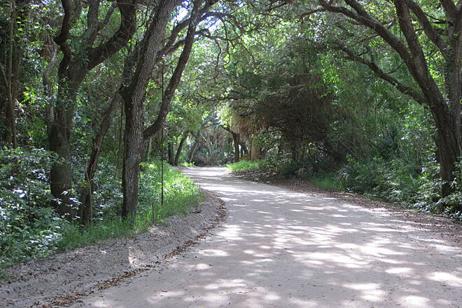 The unpaved, canopy-shaded Historic Jungle Trail on Orchid Island in Vero Beach, Florida