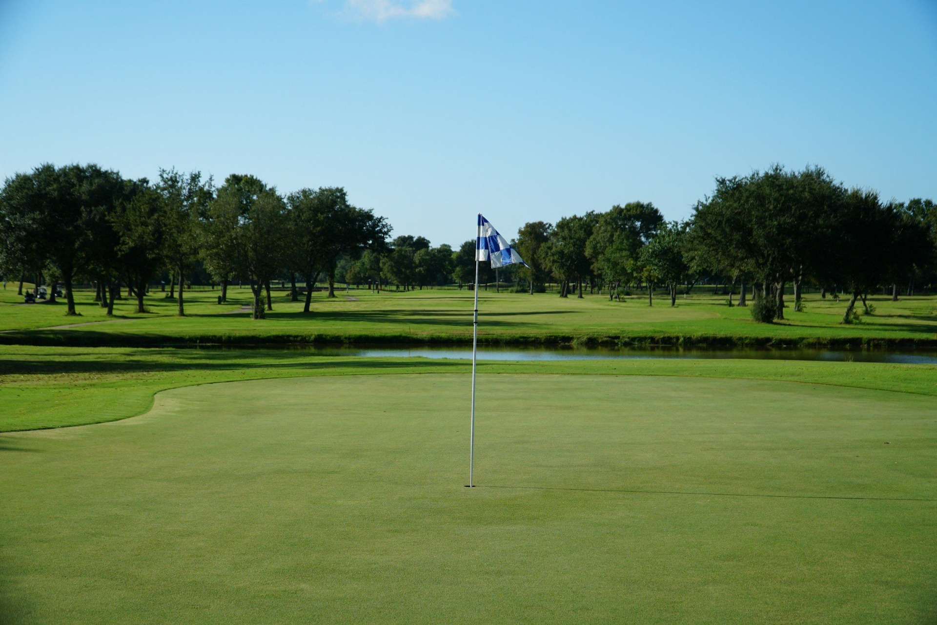 Championship Golf